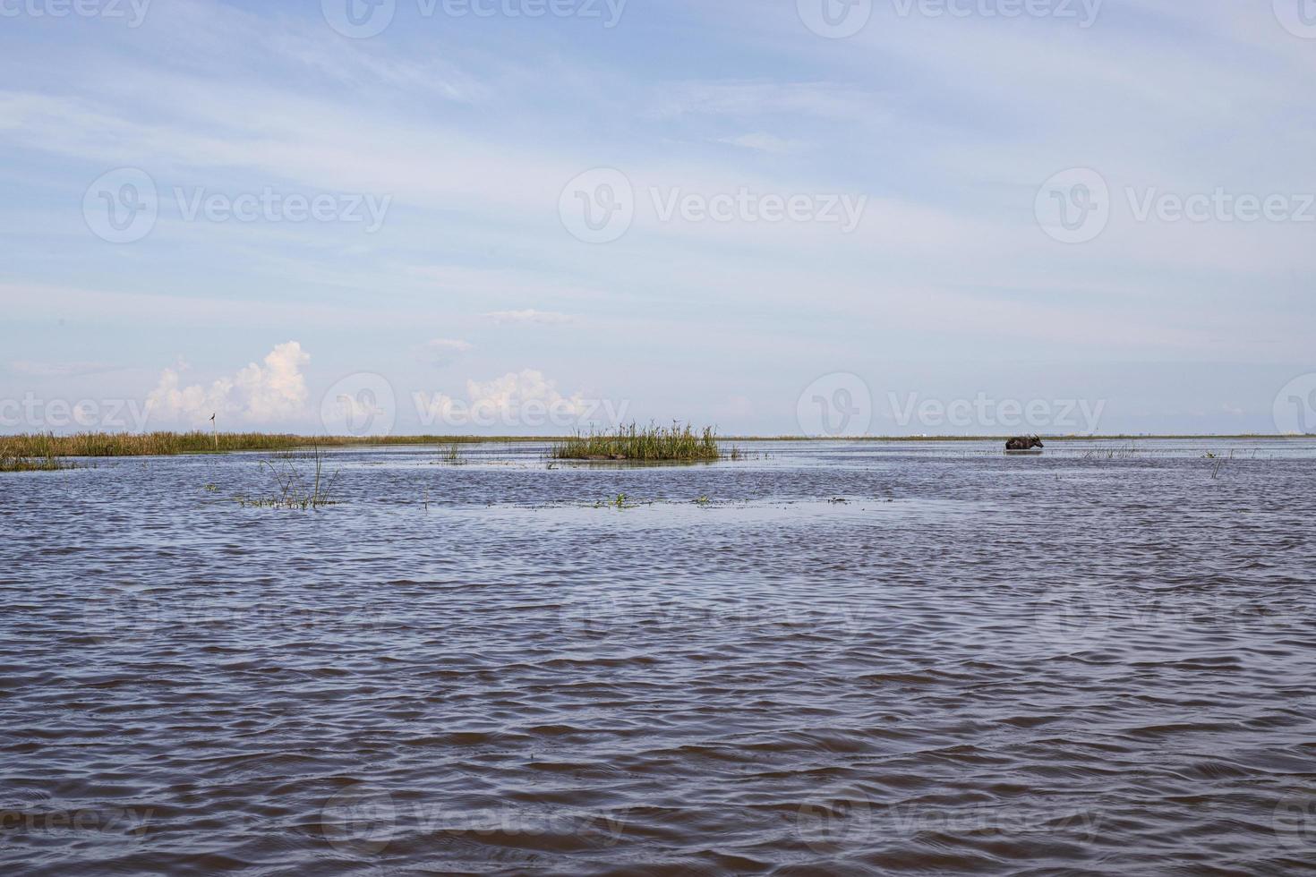 Thale Noi, Phatthalung, Thailand photo