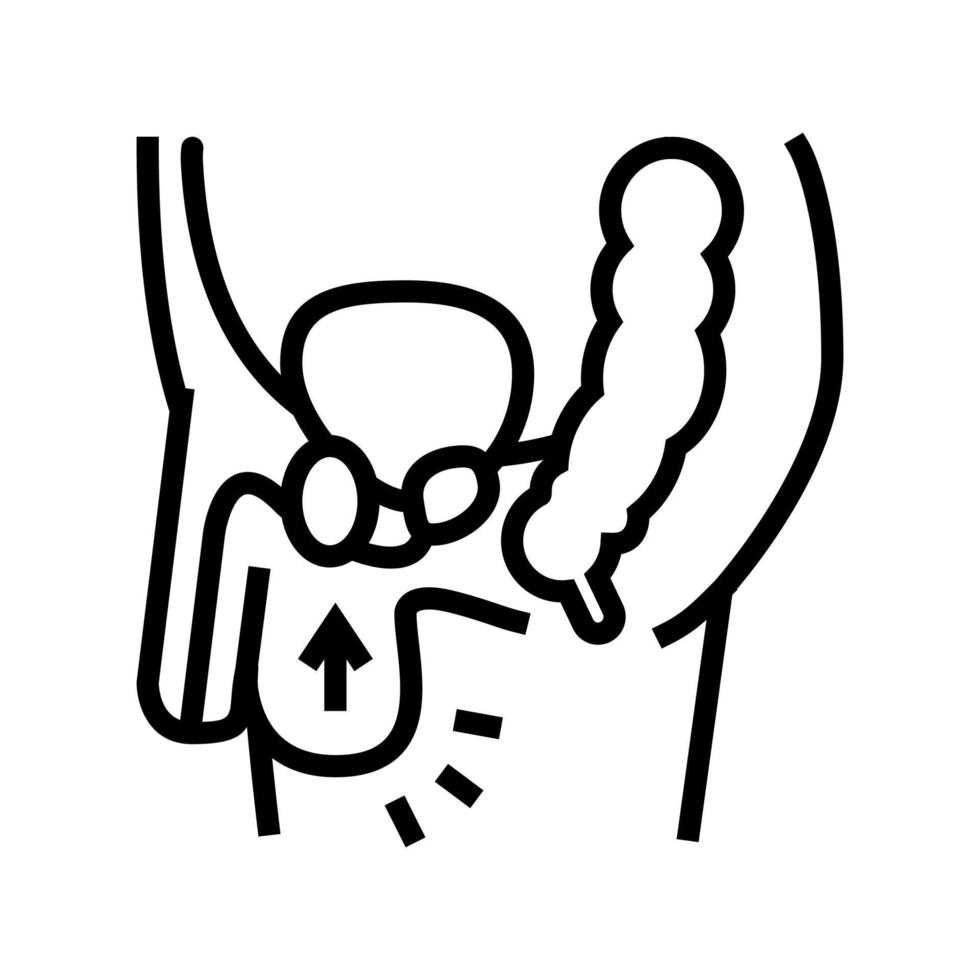 cryptorchidism disease line icon vector illustration