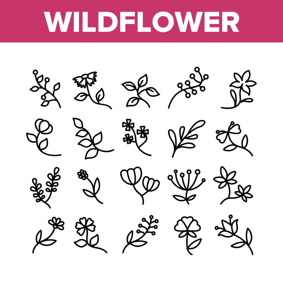 Wildflower Natural Collection Icons Set Vector