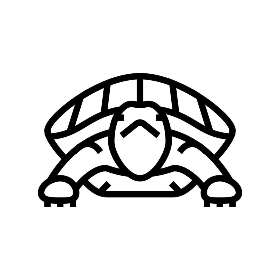 turtle tropical line icon vector illustration