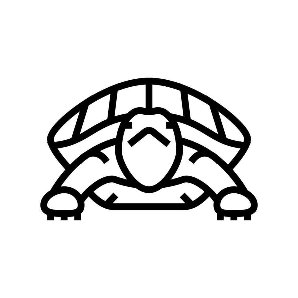 tortuga tropical línea icono vector ilustración