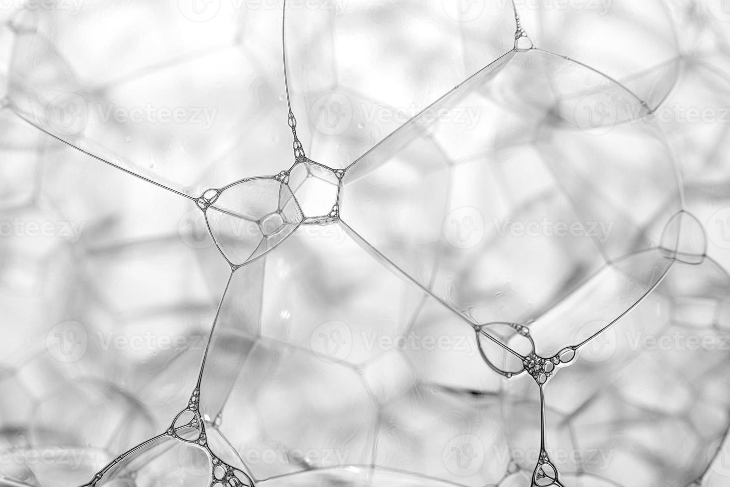 Soap foam close-up abstract background. Soap bubbles. photo