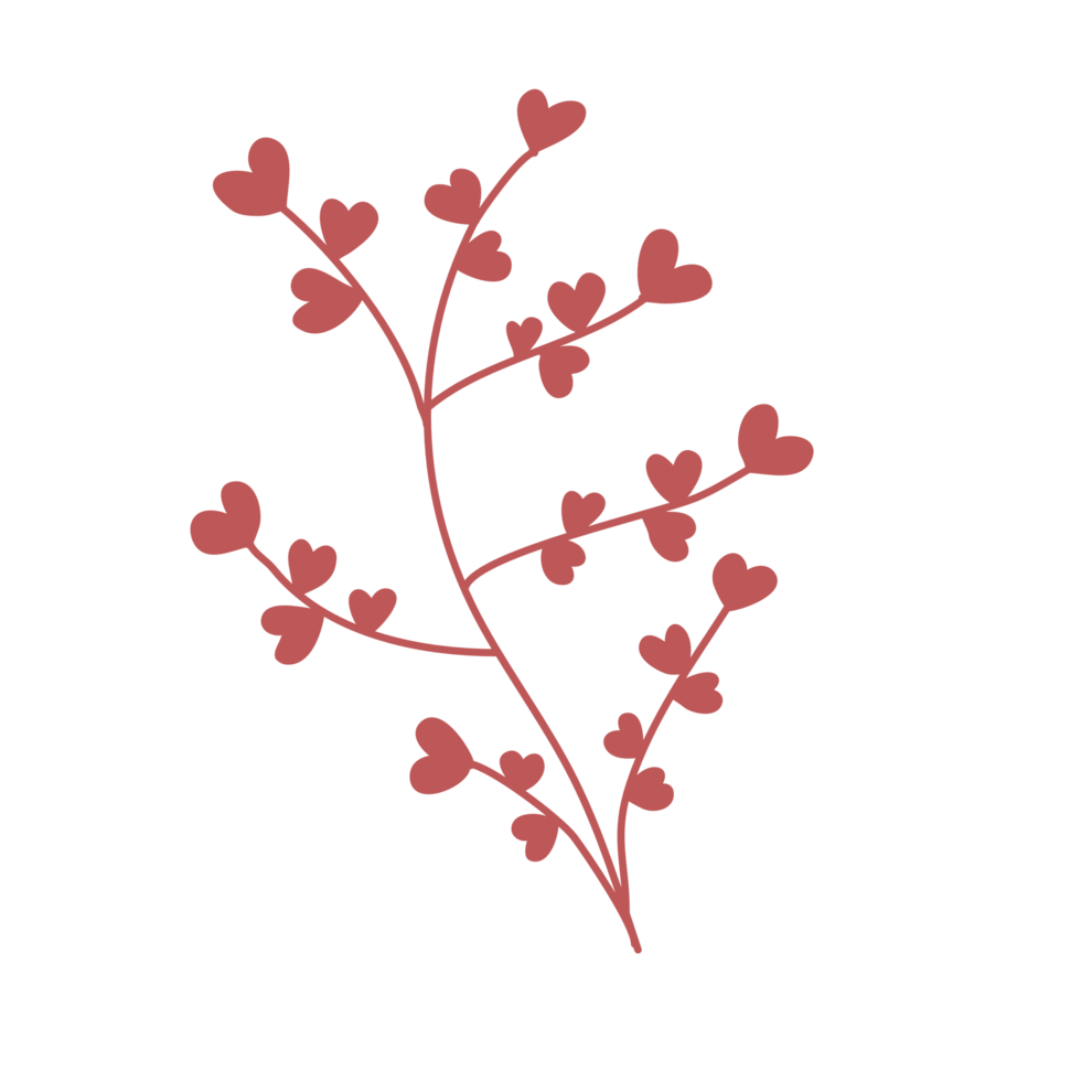 handgezeichnete, wilde florale botanische png