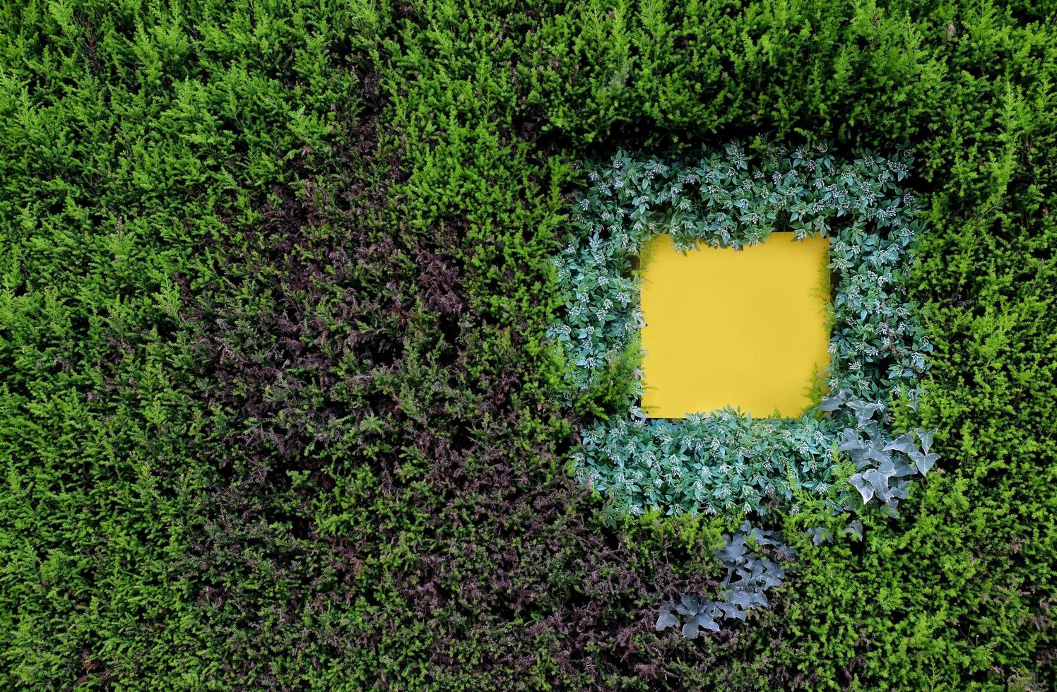 Blank yellow signage on green nature wall texture photo