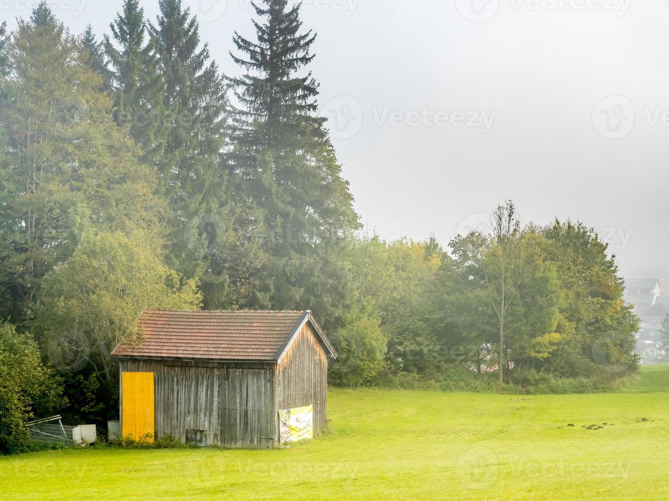 Morining green grass field in Oberammergau photo