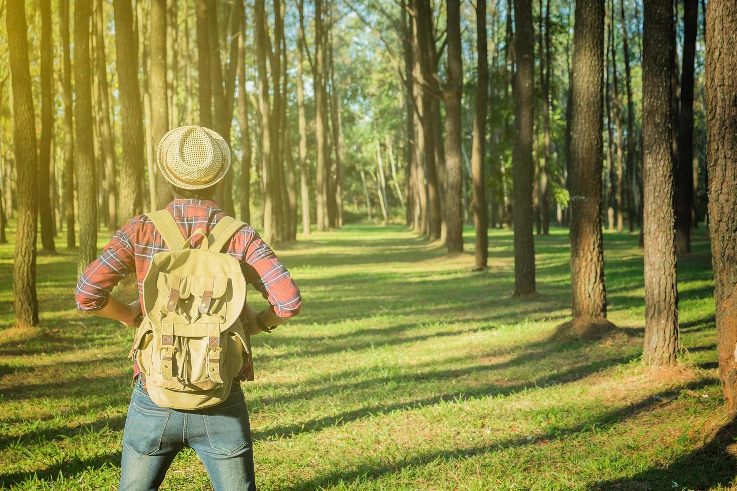 Young Man Traveler with backpack open arm relaxing outdoor on background fir park Summer vacations and Lifestyle hiking concept photo