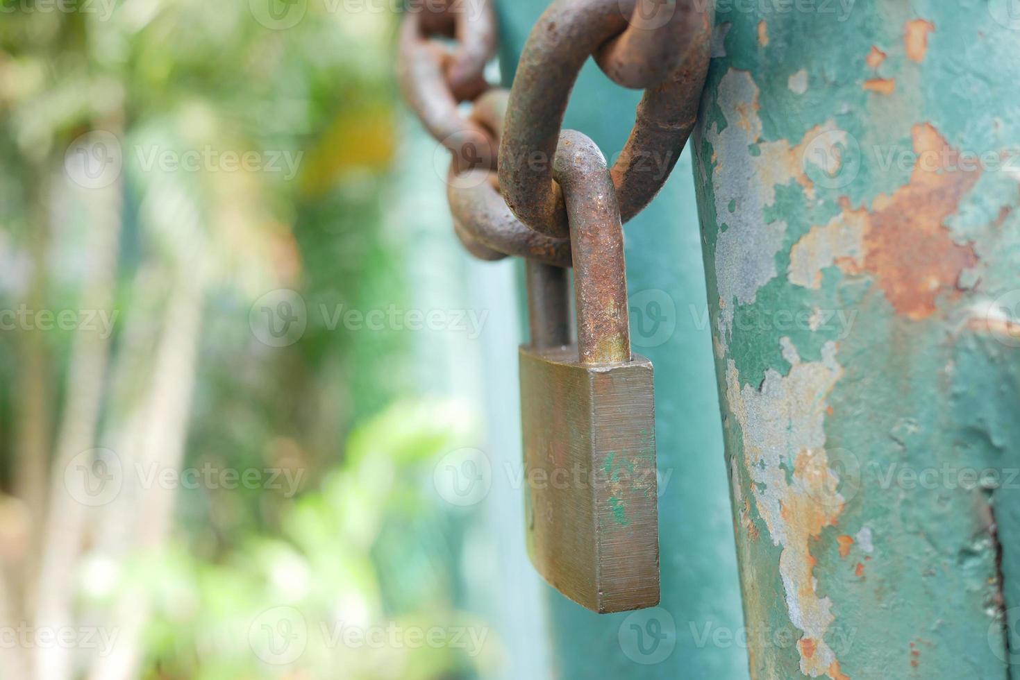 date door was locked with padlocks and chains photo