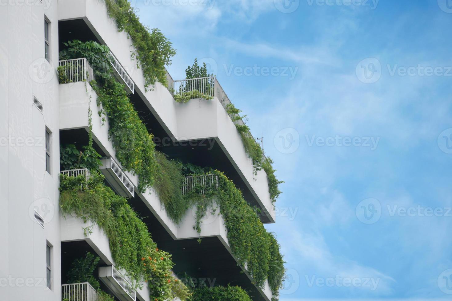 building with plants growing on the facade photo