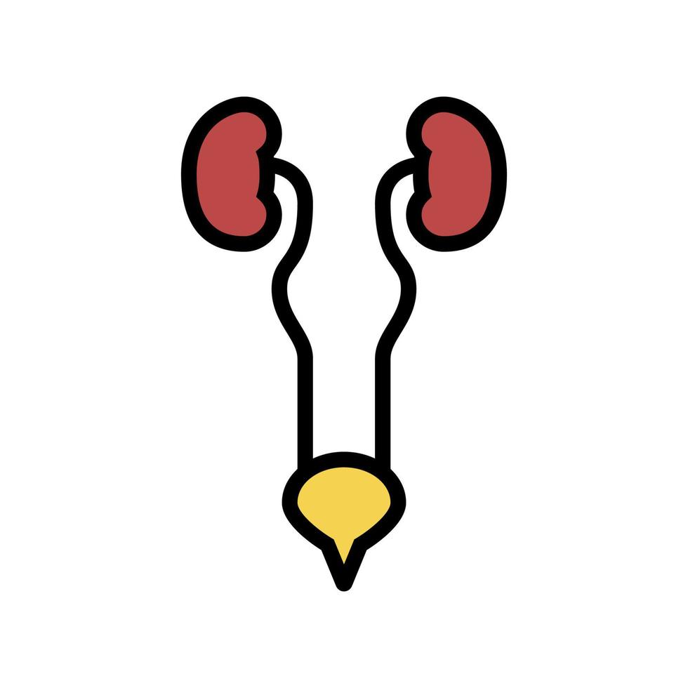 urinary system color icon vector illustration