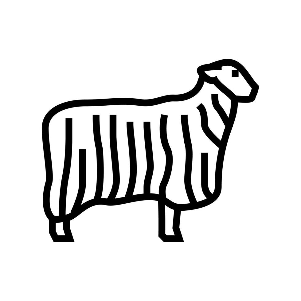 13 teeswater ovejas línea icono vector ilustración