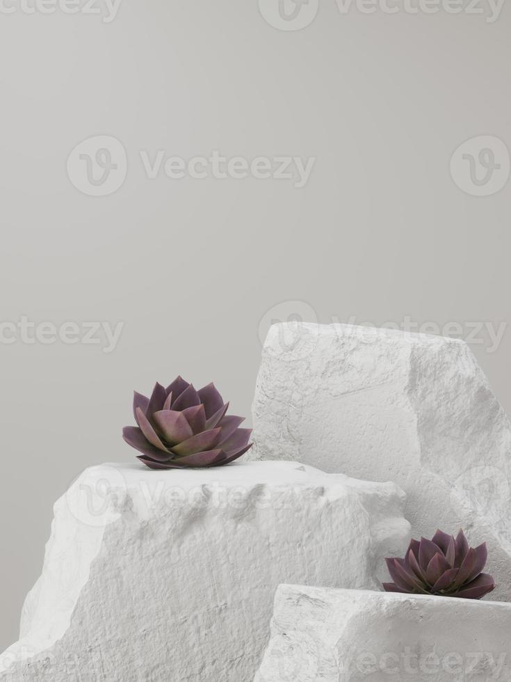 Abstract minimal background for product presentation with white rock and purple suculenta plant. 3D render. photo