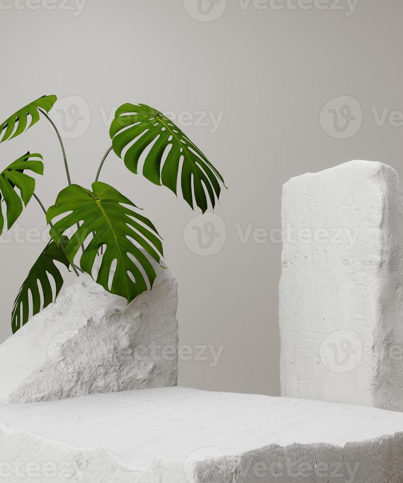 Abstract minimal background for product presentation with white rock and green monstera plant . 3D render. photo