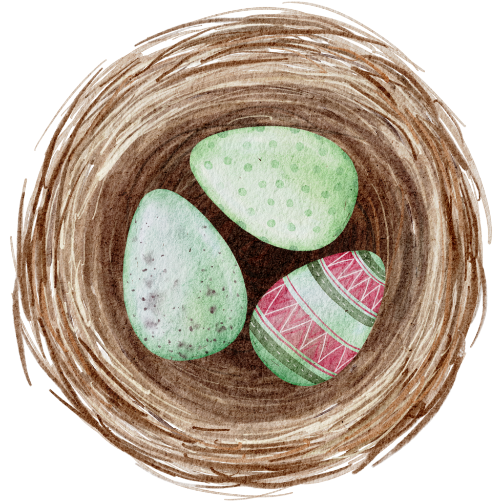 Easter eggs in the nest watercolor png