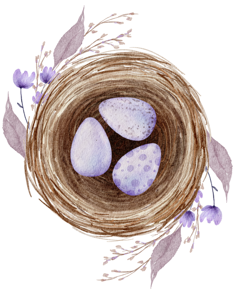 Easter eggs in the nest watercolor png