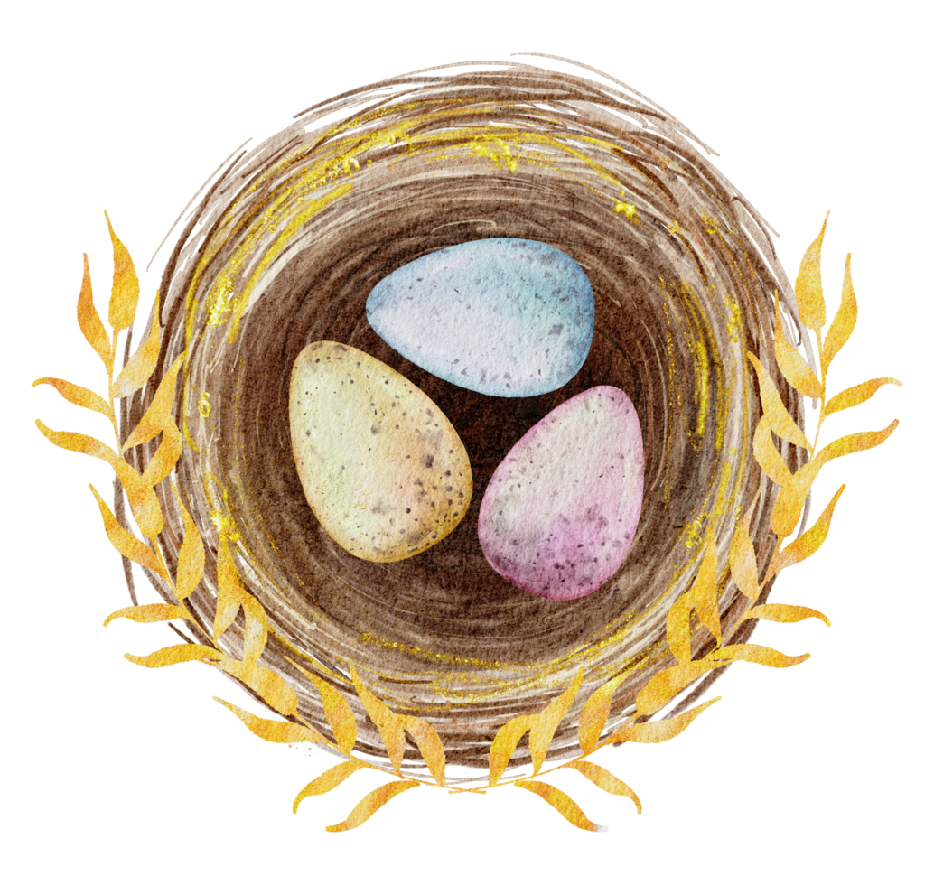huevos de pascua en el nido acuarela png