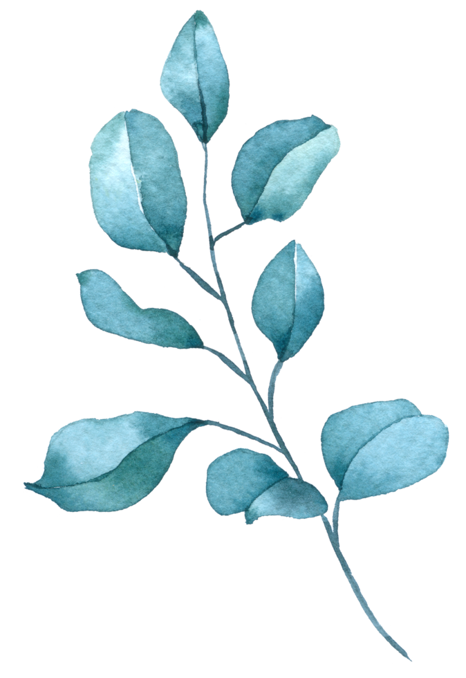 Foliage watercolor, Beautiful leaf watercolor element png
