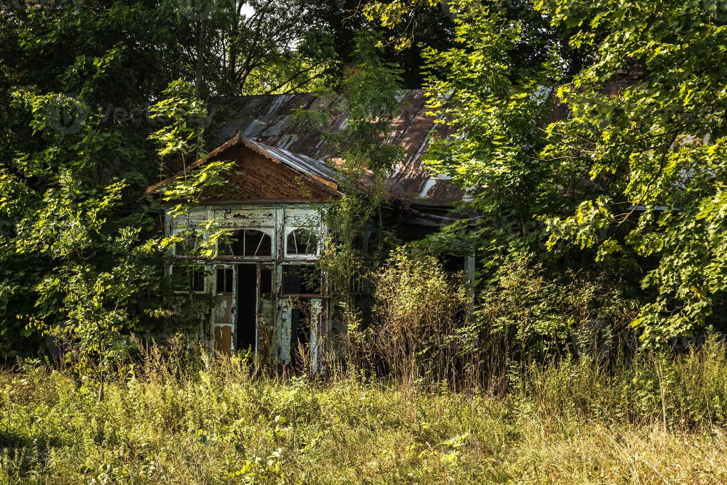 casa antigua abandonada cubierta de arbustos y árboles foto