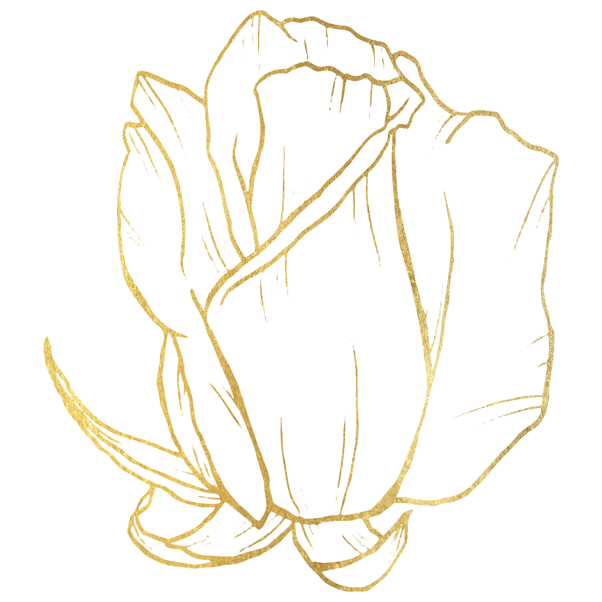 Rose Flower with gold line art 10335294 PNG