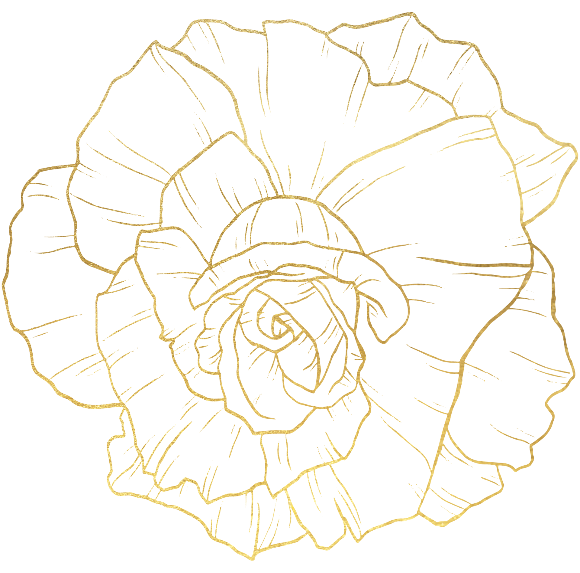 Rose Flower with gold line art 10335297 PNG