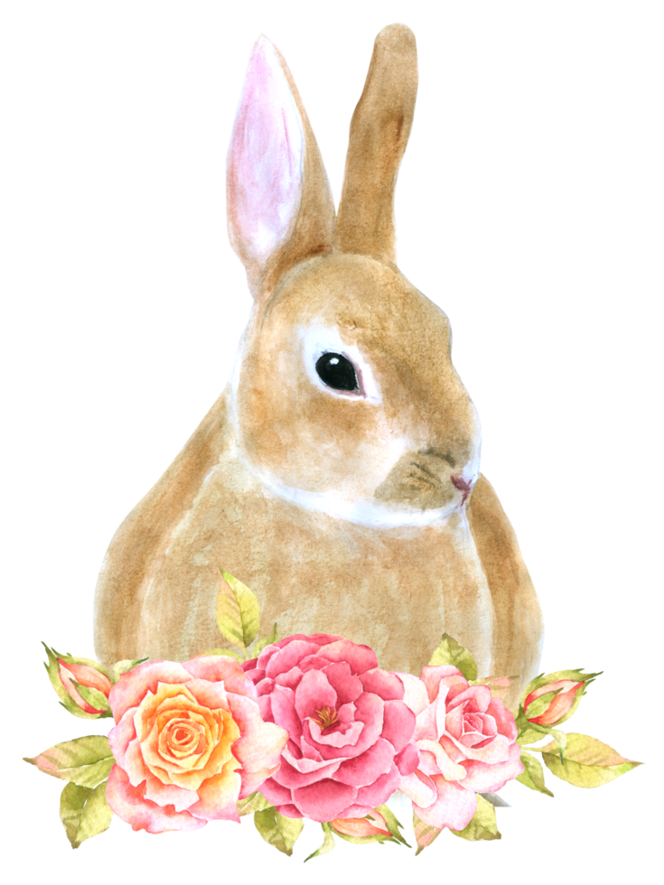 Rabbit Easter animal with flower watercolor png