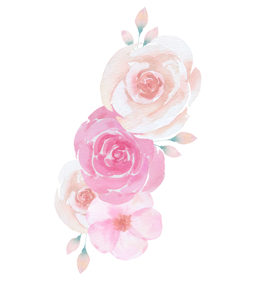 aquarela de buquê de flores rosa png