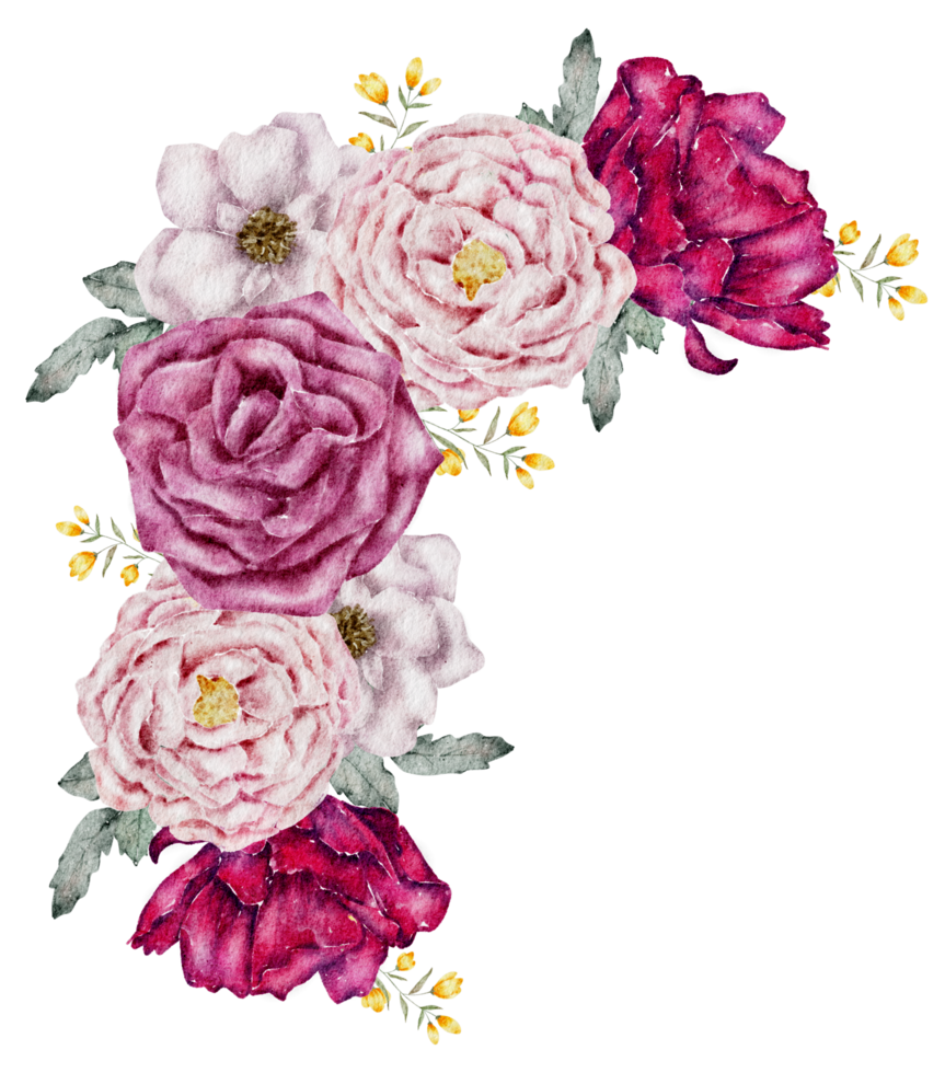 Free ramo de flores rosas acuarela 10335435 PNG with Transparent Background