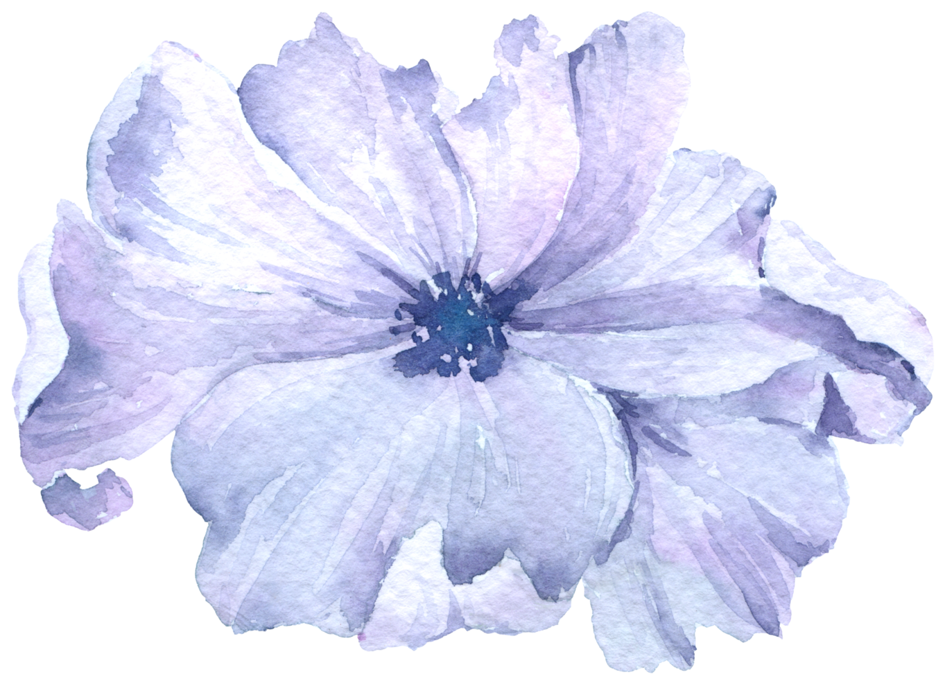 collezione di acquerelli di fiori viola png