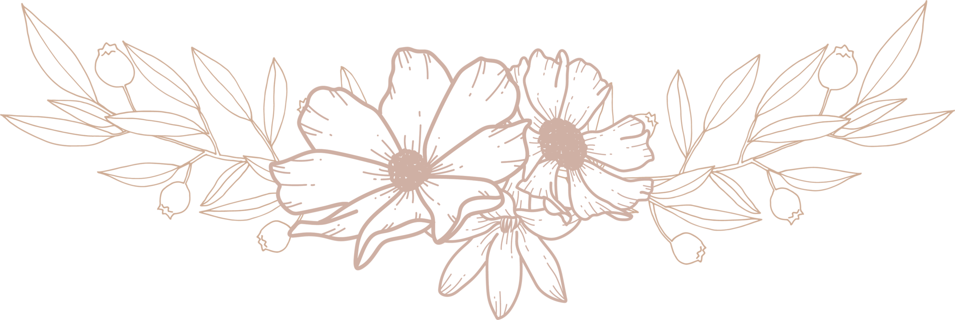 dessin au trait bouquet de fleurs png