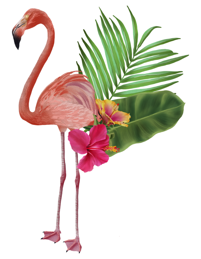 Tropical composition with bird watercolor hand paint png