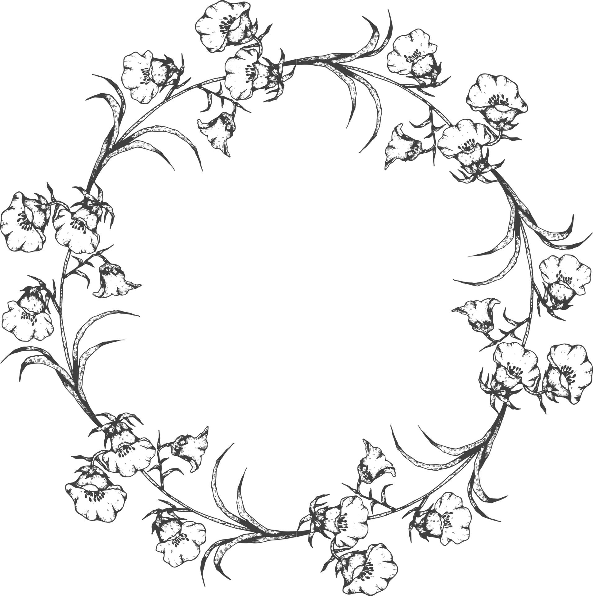 Flower wreath elegant hand draw 10335653 PNG