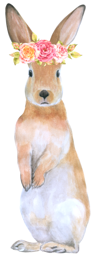 Rabbit Easter animal with flower watercolor png