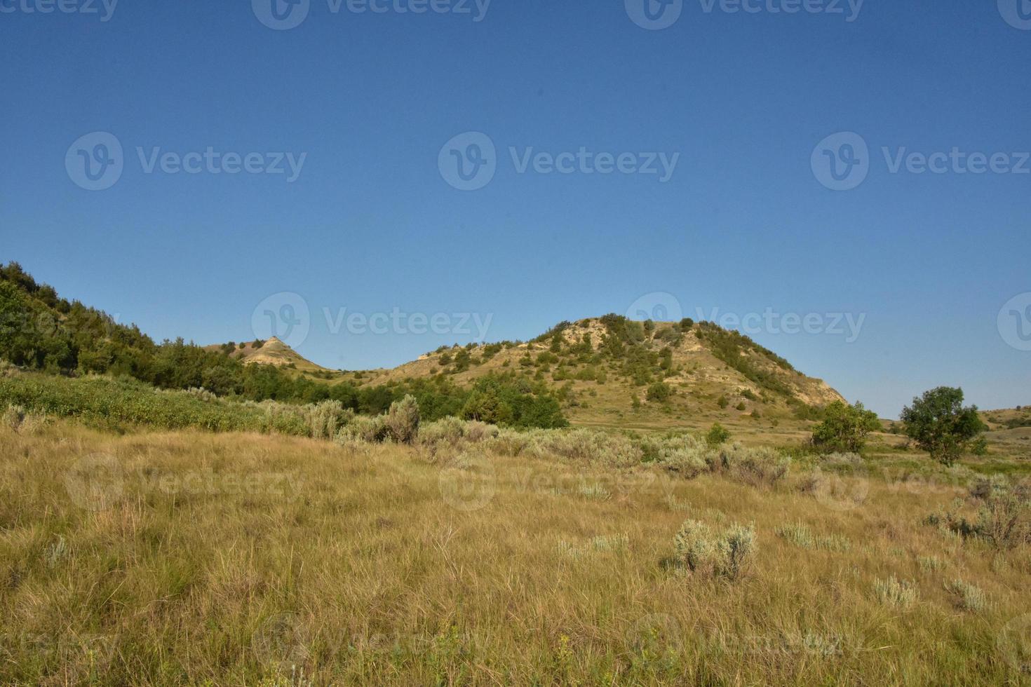 Landscape with Hills and Grasslands in North Dakota photo
