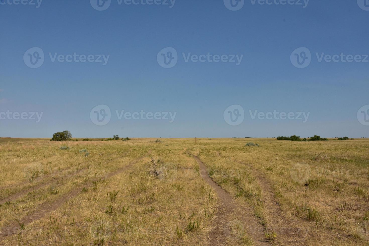 Several Game Trails Through the Plains in North Dakota photo