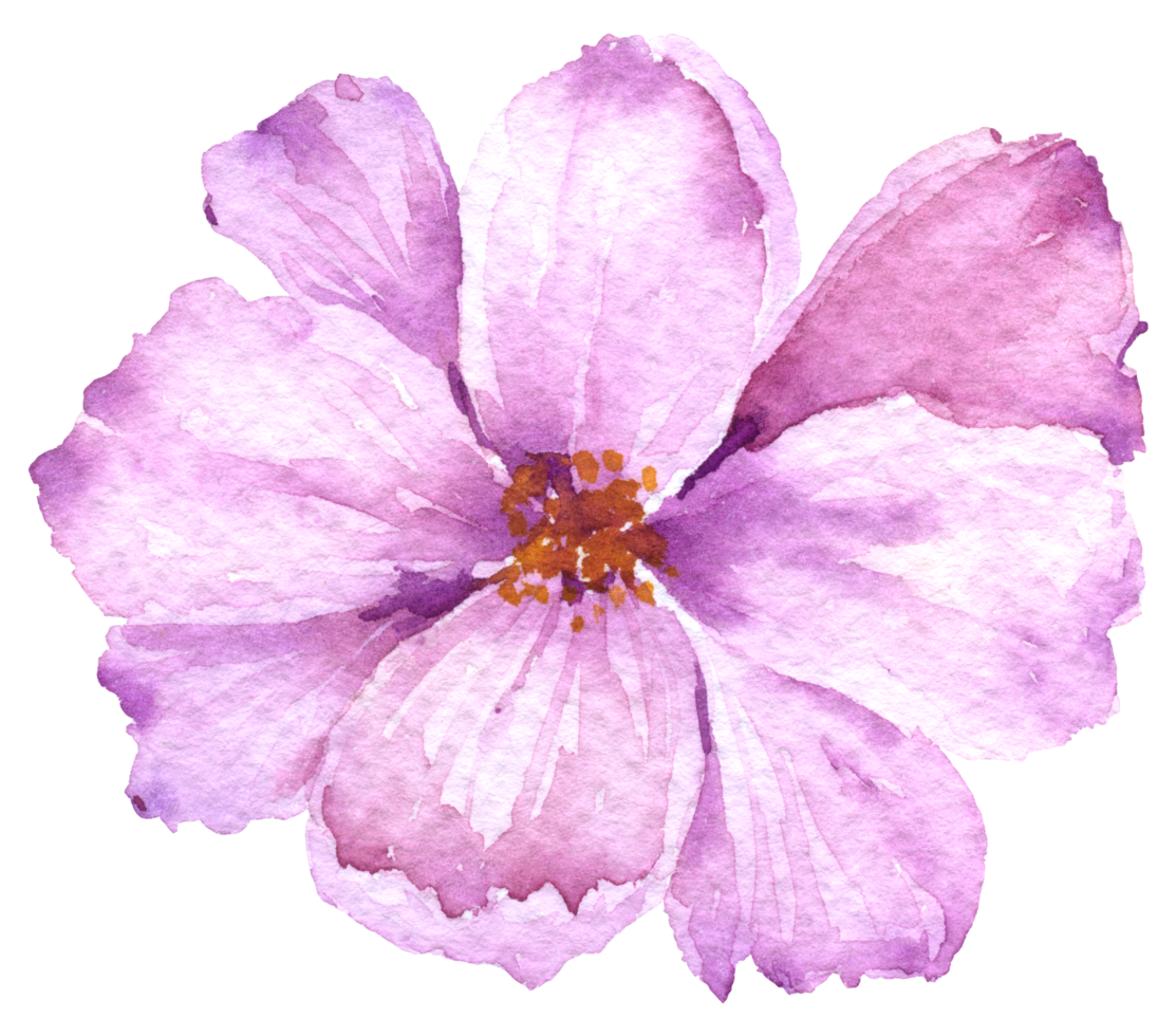 Violet flower watercolor collection 10335919 PNG