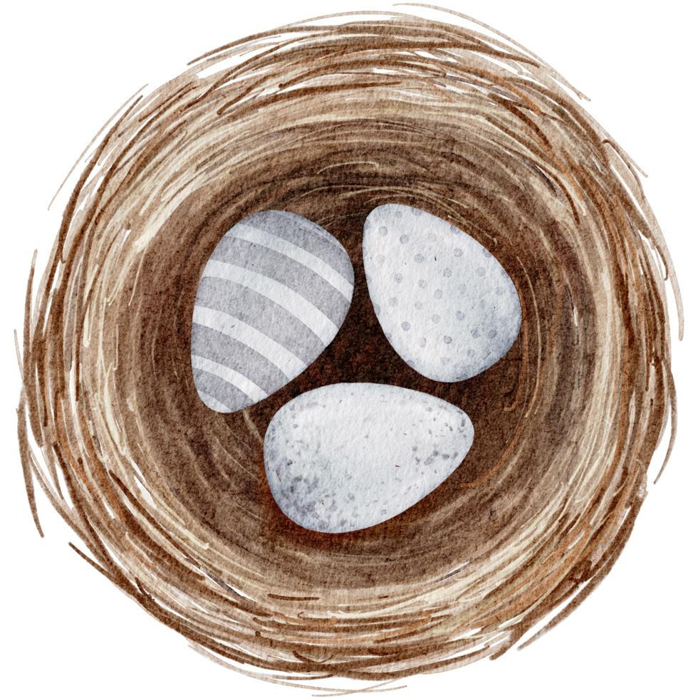 Easter eggs in the nest watercolor png