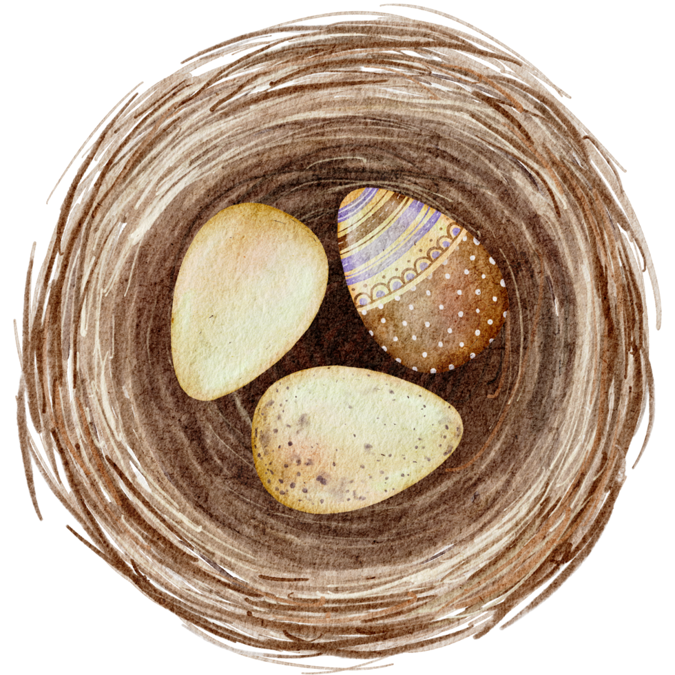 Easter eggs in the nest watercolor png