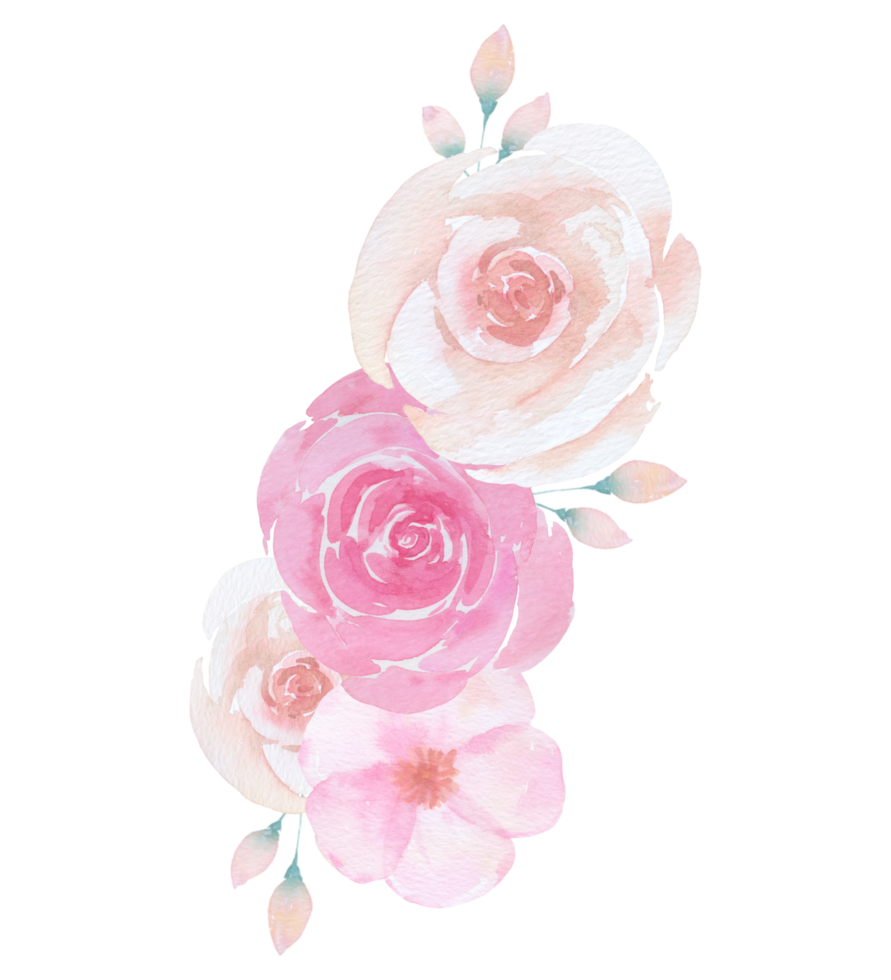 ramo de flores rosas acuarela png
