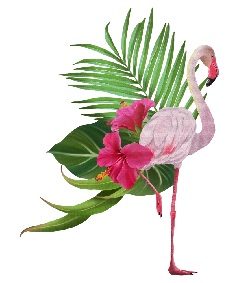 Tropical composition with bird watercolor hand paint png