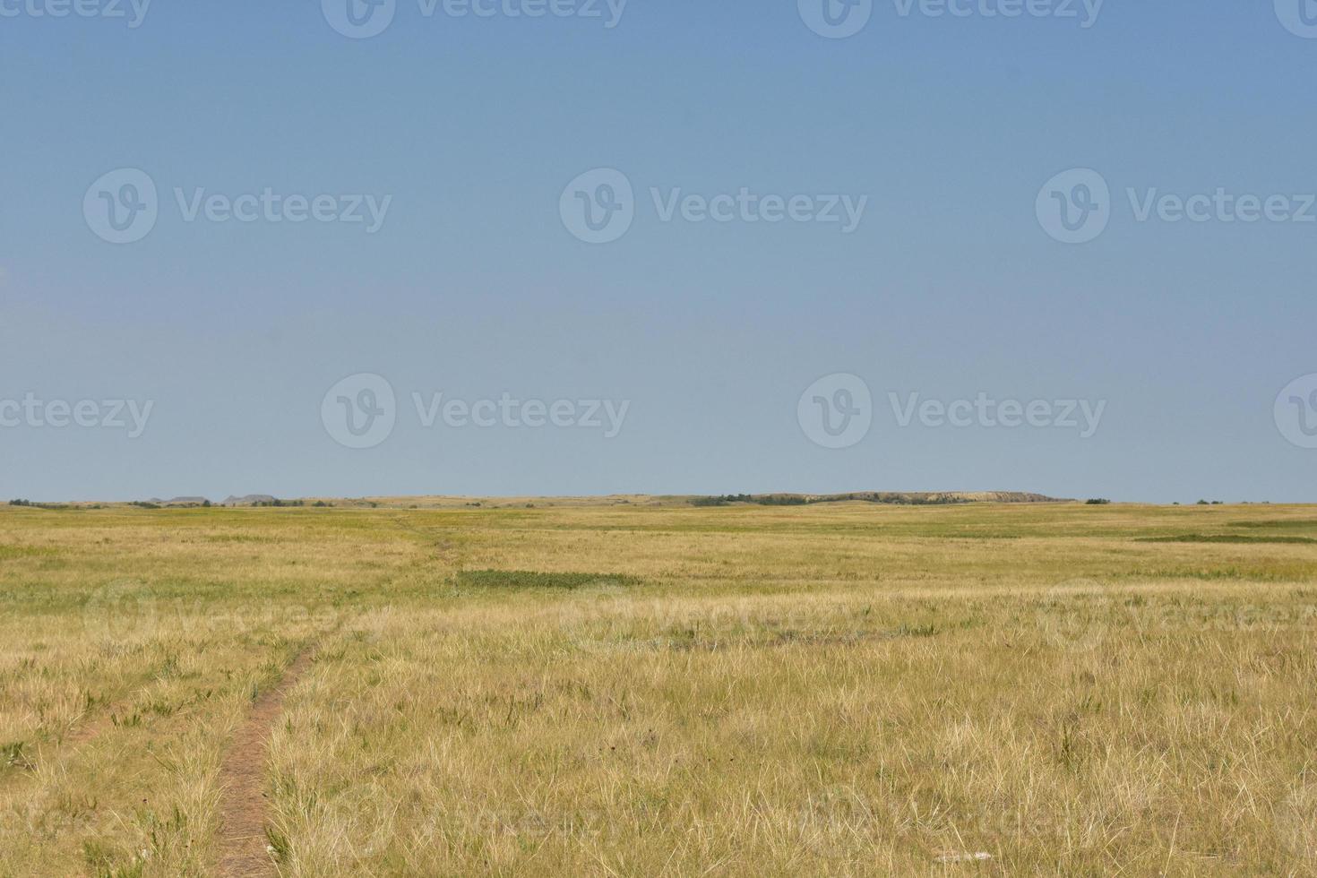 Game Trail on the Plains in South Dakota photo