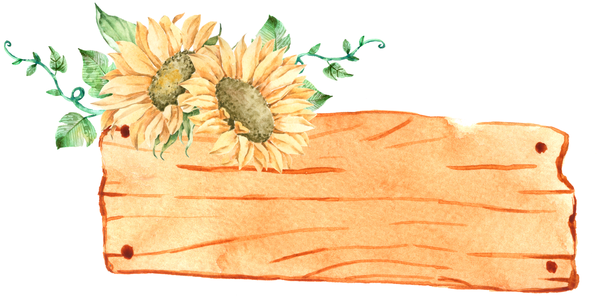 signwood met zonnebloem aquarel png