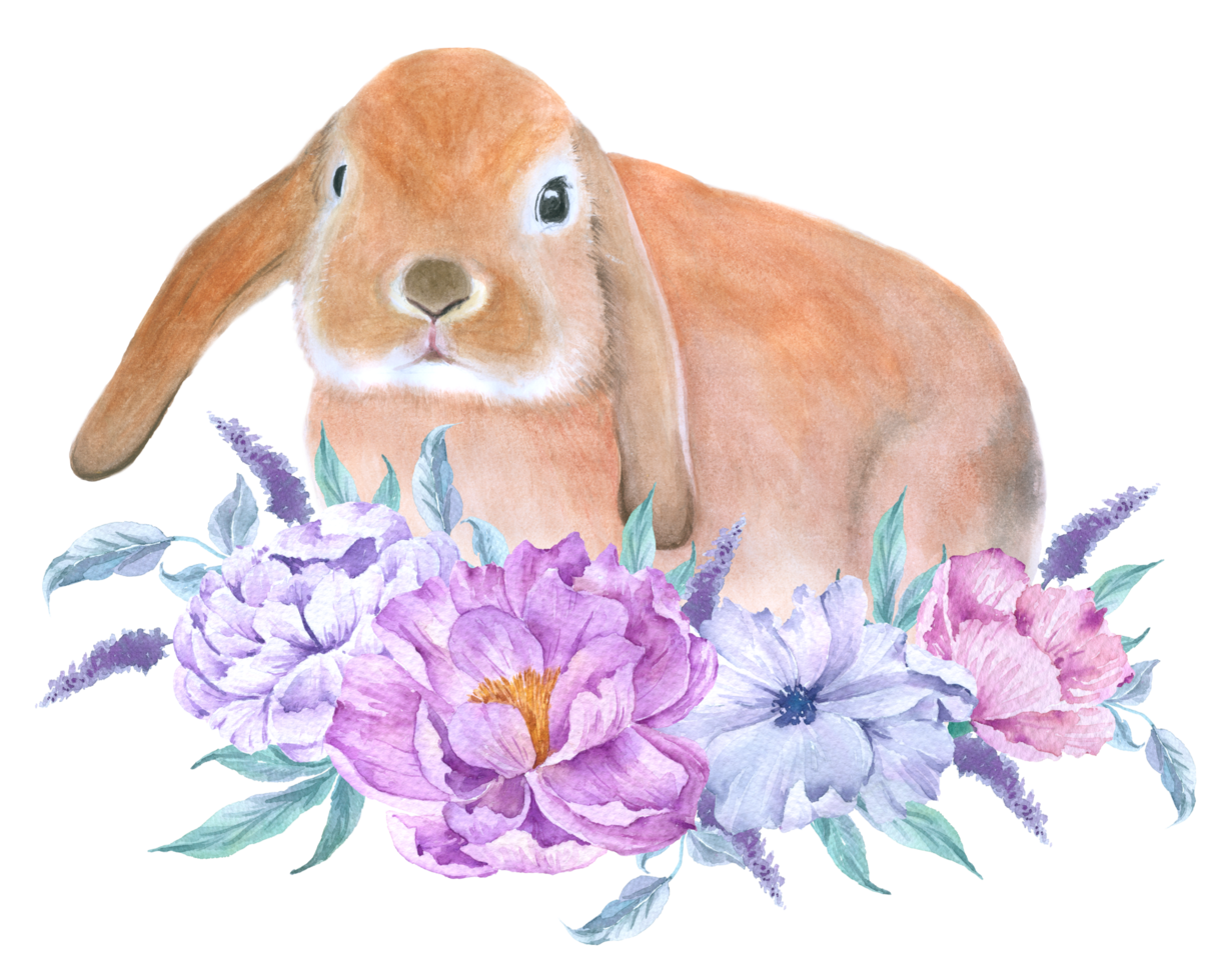 coniglio animale di pasqua con acquerello di fiori png