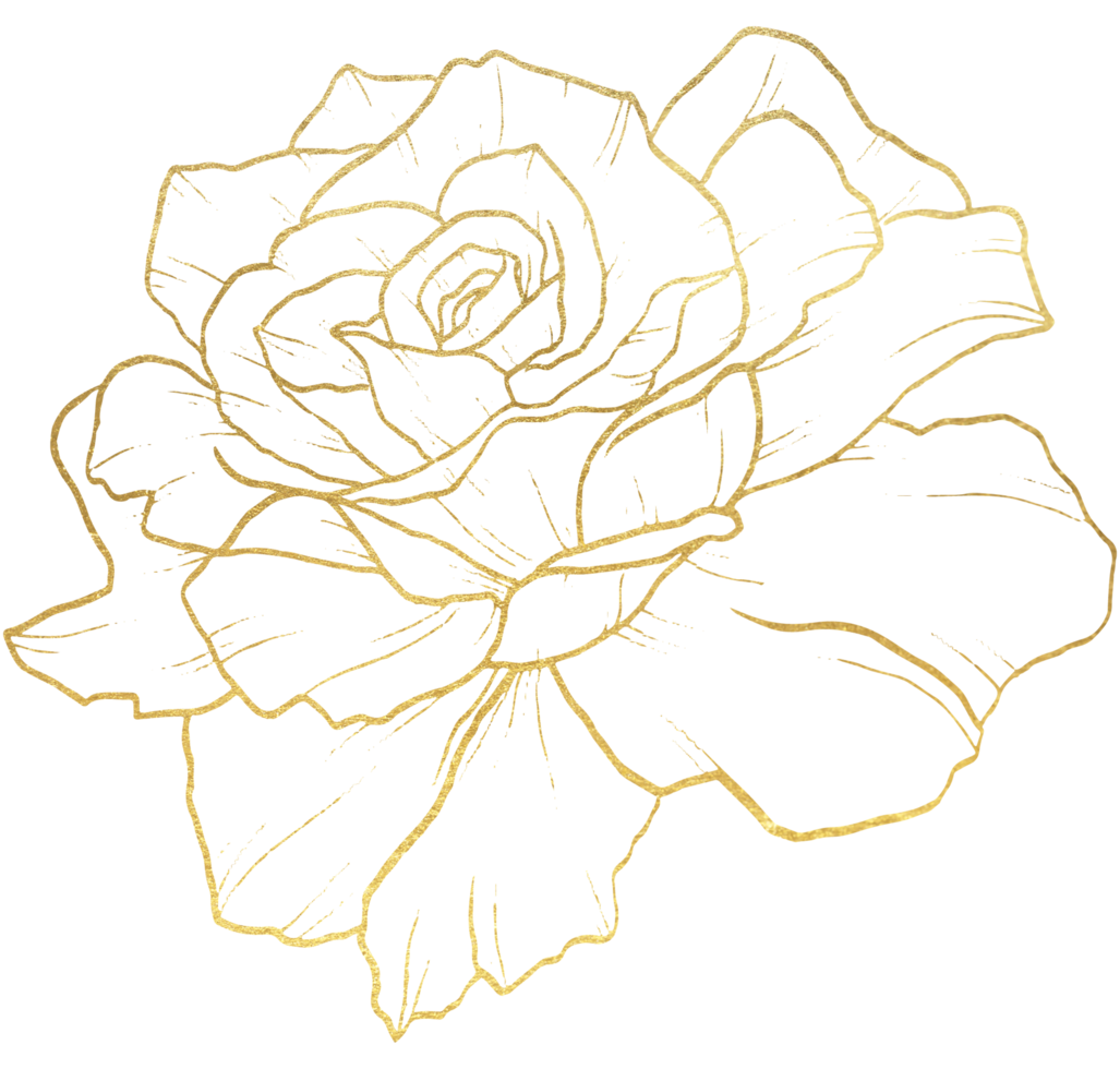 Rose Flower with gold line art 10336182 PNG