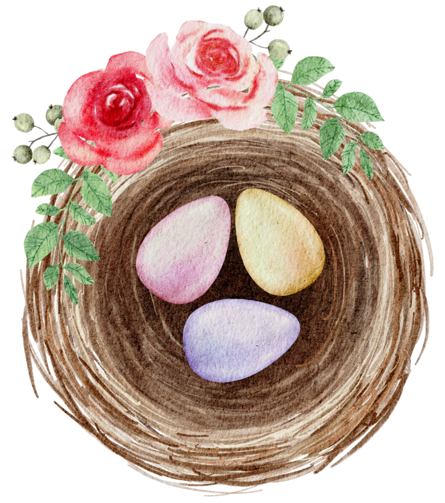 Easter eggs in the nest watercolor png