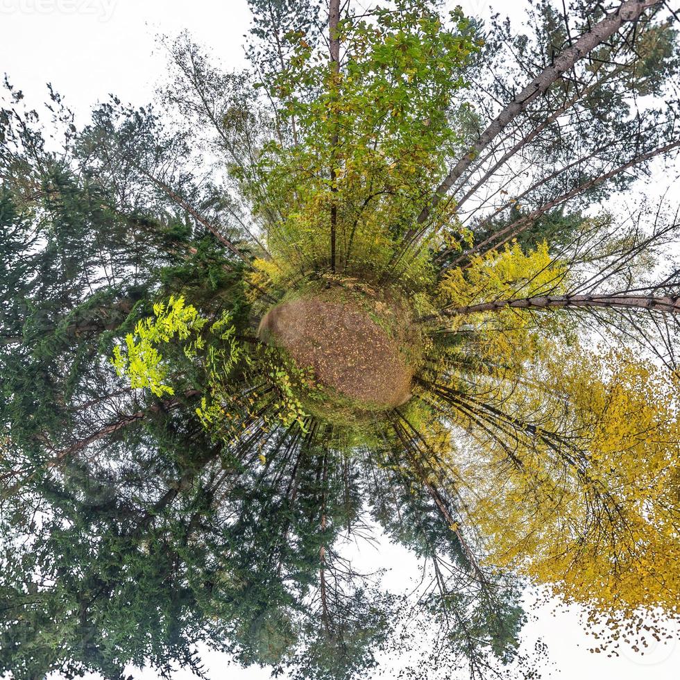 Little planet transformation of spherical panorama 360 degrees. Spherical abstract aerial view in autumn forest. Curvature of space. photo