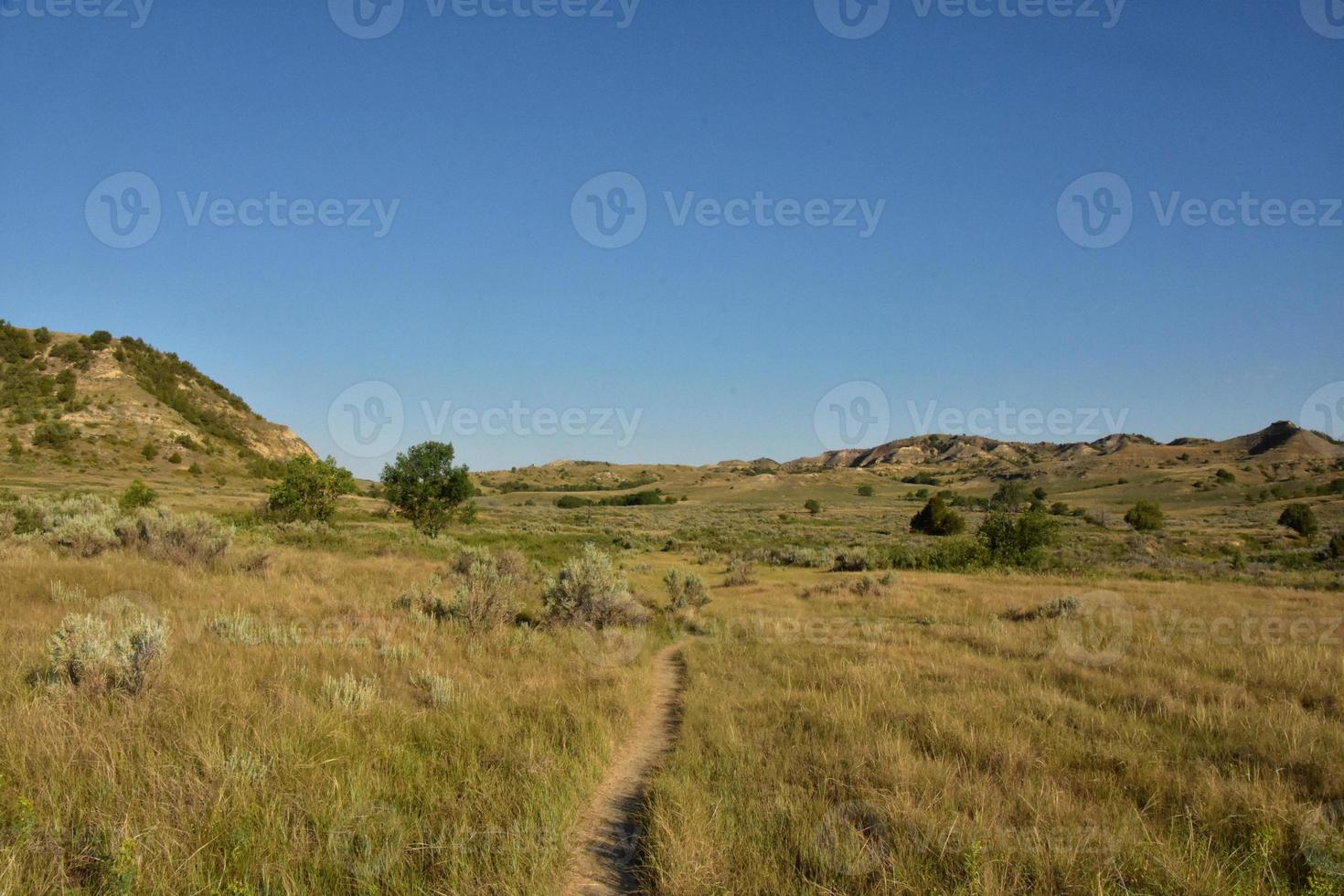 Narrow Hiking Trail Through Grasslands into Hills photo