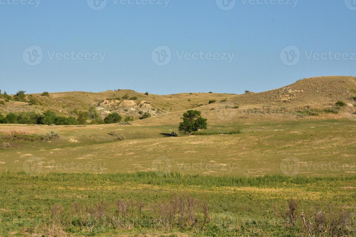 Scenic Foothills and Valleys in the Summer Time photo