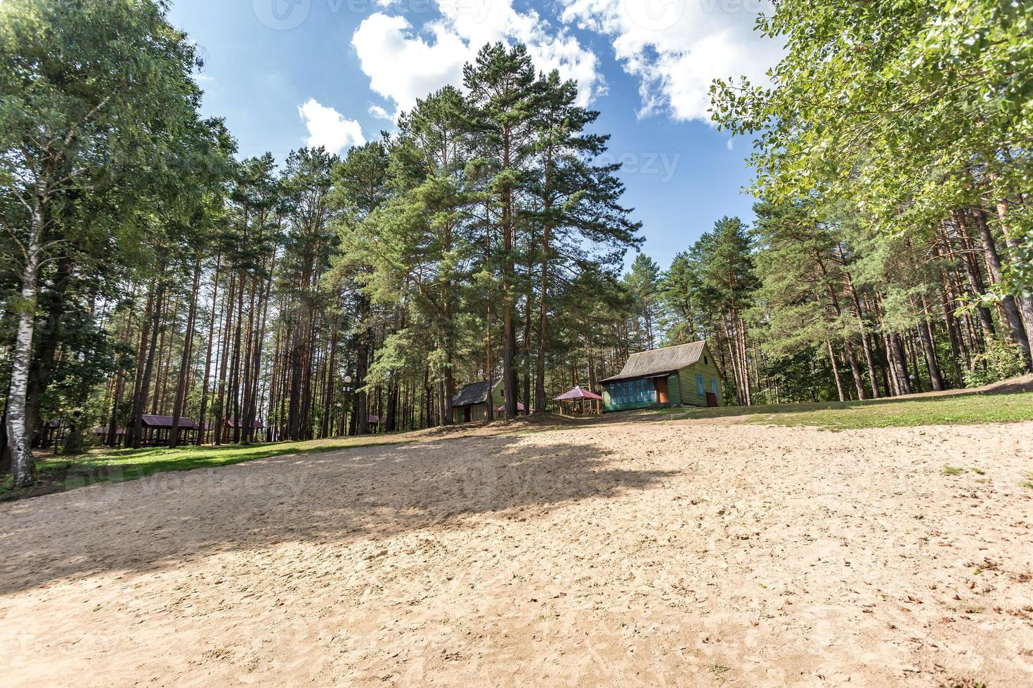sand beach on the shore of a large lake in summer forest photo