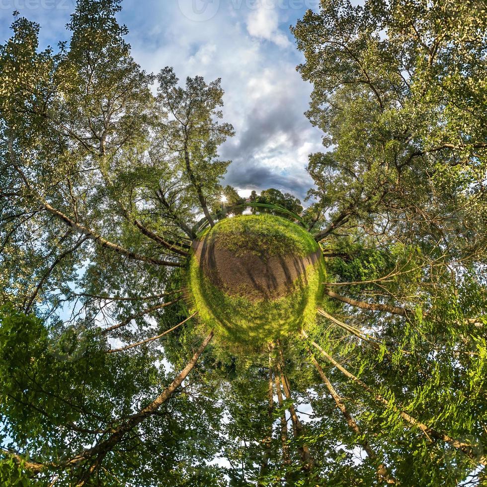 Little planet transformation of spherical panorama 360 degrees. Spherical abstract aerial view in piny forest. Curvature of space. photo