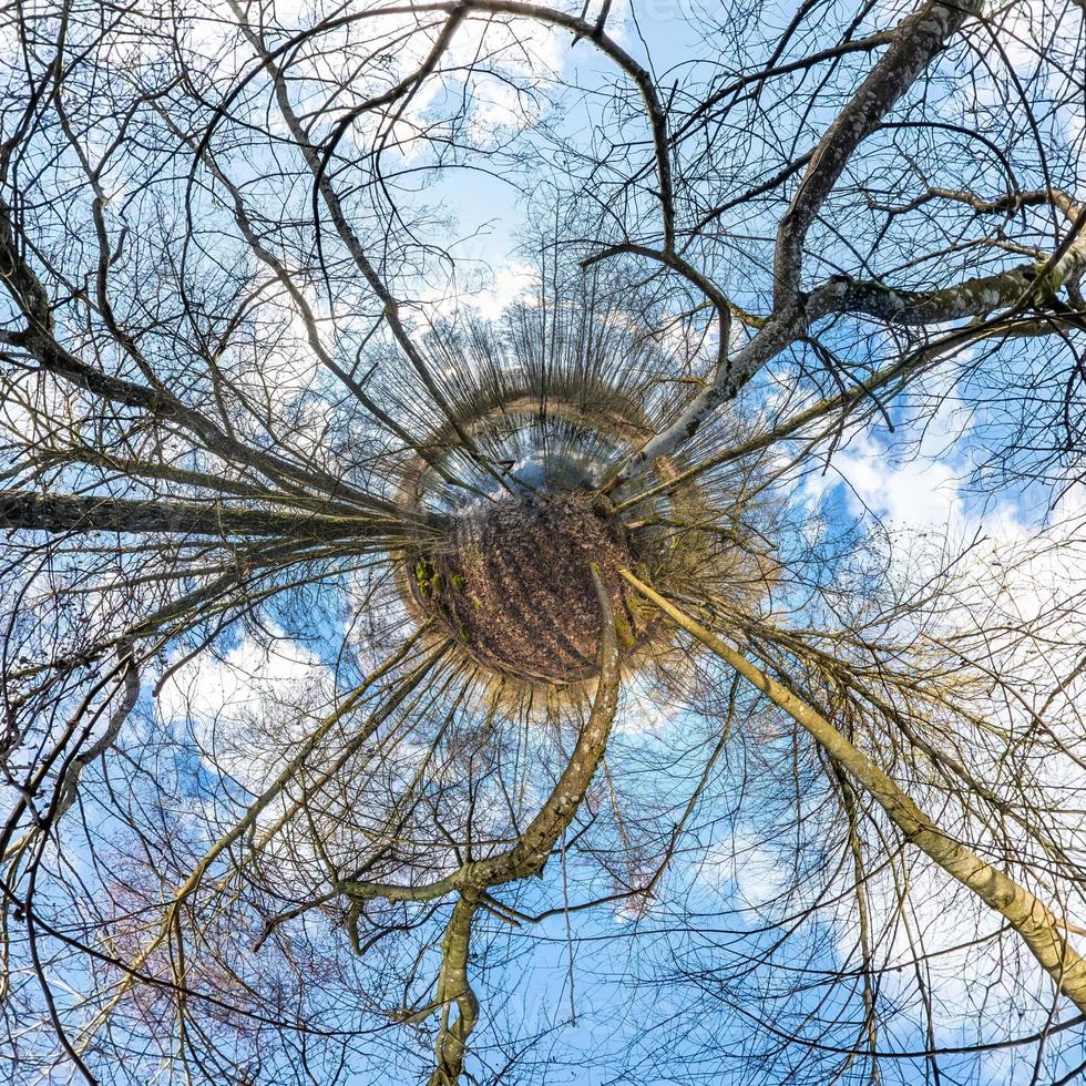 Little planet transformation of spherical panorama 360 degrees. Spherical abstract aerial view in spring forest. Curvature of space. photo