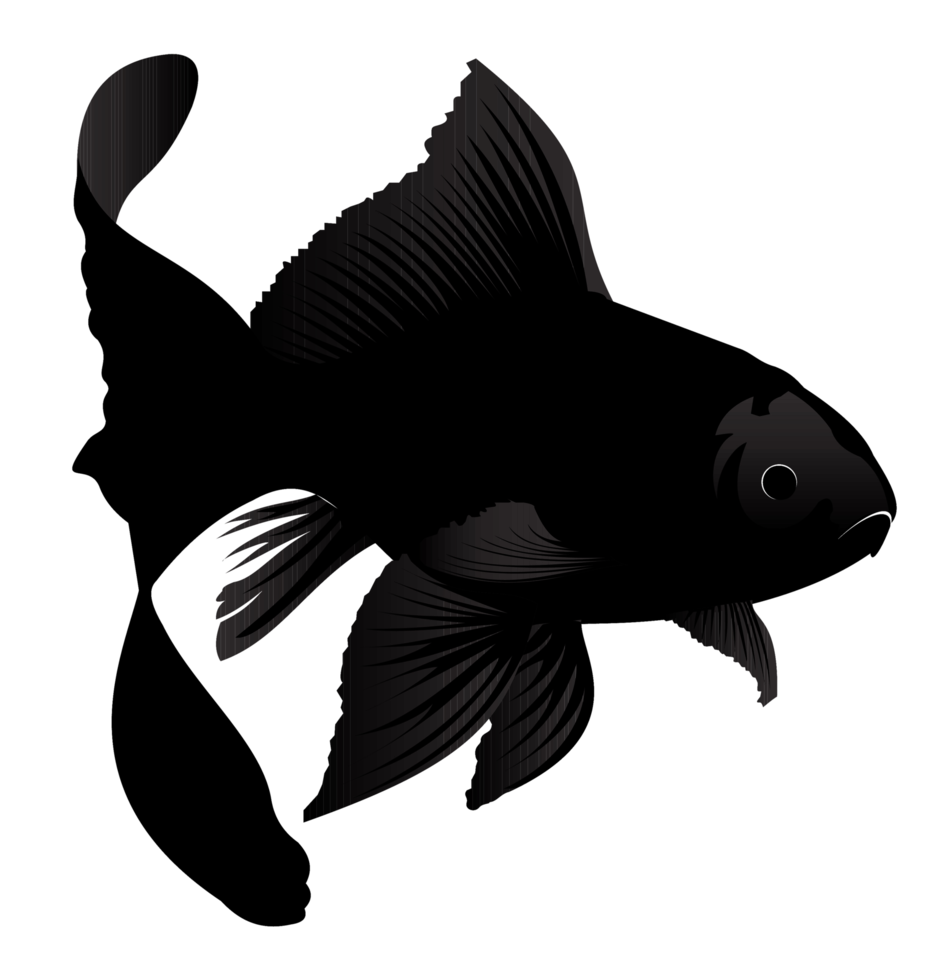 Ornamental fish with twisted fins in black color png